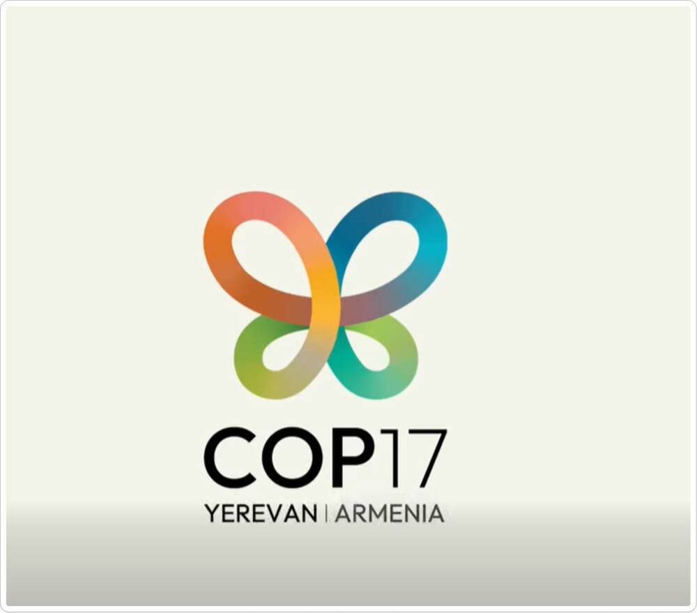 UN COP17 Yerevan Armenia logo